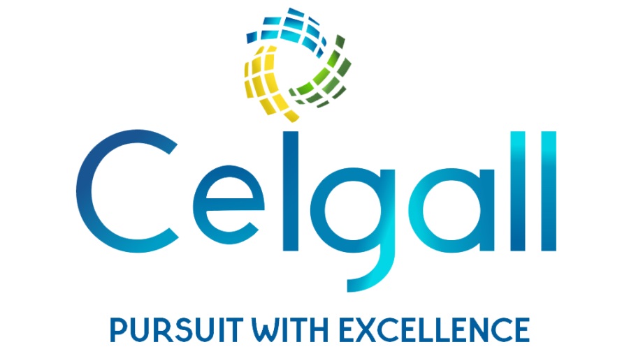 Ceigall India JV Wins ₹2,150 Crore Contracts for NH-913 Road Development.